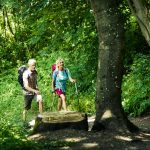 Paar wandert gemeinsam im Wald