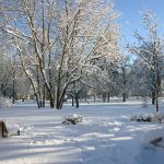 Hindenburgpark im Winter - Bad Dürrheim